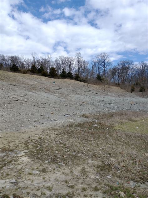 Trammel Fossil Park | Atlas Obscura