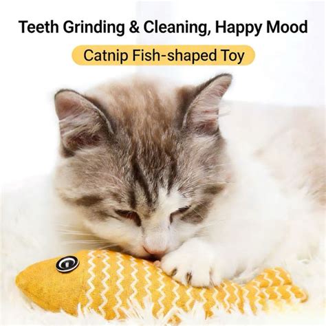 https://www.pawtique.co/cdn/shop/files/cat-chew-toy-5-piece-set-2147759.jpg?v=1777450018&width=600