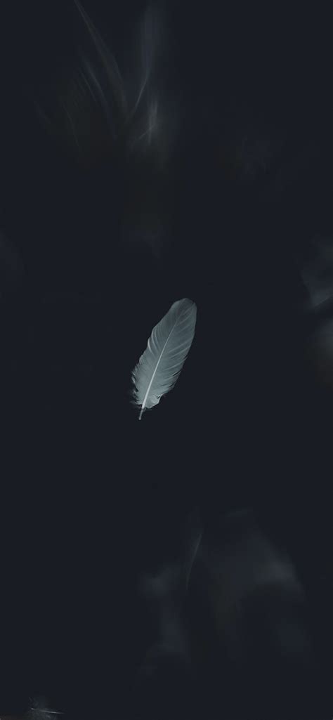 Image result for Home Screen Background