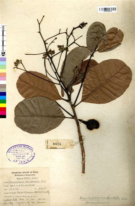 Move your mouse over image to enlarge.