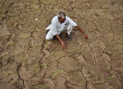 Weak rainfall delivers hard blow to Telangana farmers | Skymet Weather ...