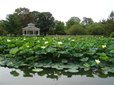 Gallery 3 — Friends of Goodale Park