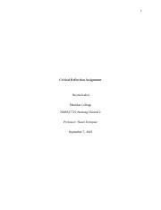 Critical Reflection Assignment 的图像结果