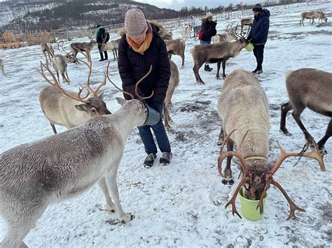 Norwegian Sami People