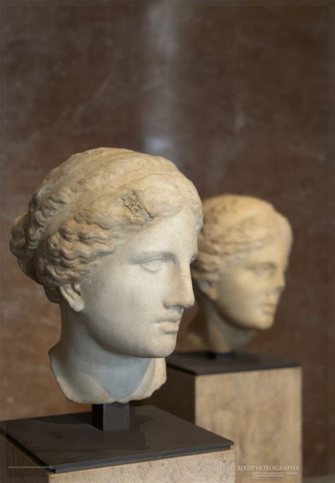Aphrodite Sculpture Head