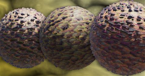 Alien Texture Examples 的图像结果