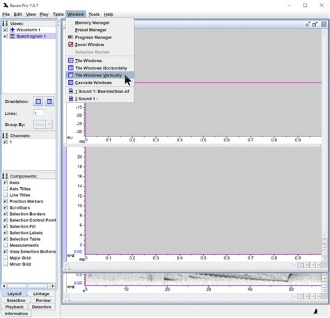 Image result for Copy and Paste Audio Software