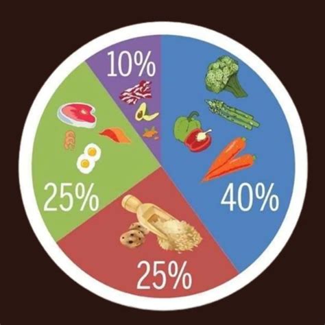 Normal Diet 的图像结果