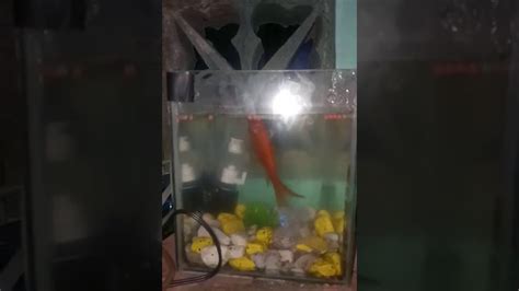 Hhttps Www.youtube.com 的图像结果