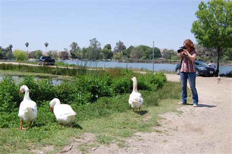 Bakersfield Observed: Spring at Hart Park in Bakersfield