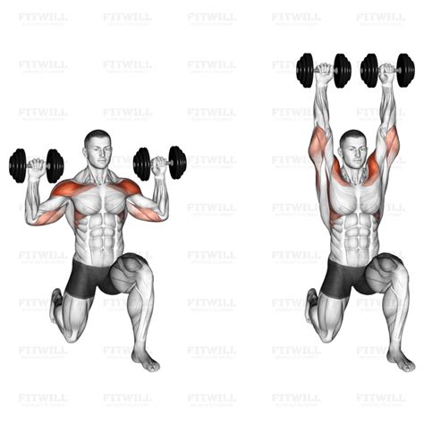 Dumbbell Half Kneeling Military Press: Exercise Guide, Techniques ...