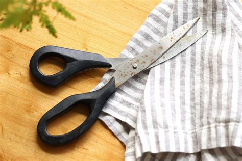 How to Clean Rust Off Scissors 的图像结果