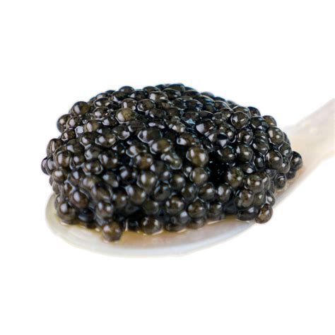 Sturgeon Caviar Roe Fish Eggs Raw Wild Caught – Free Range Fulfillment ...