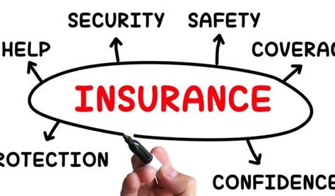 Insurance Coverage Risks 的图像结果