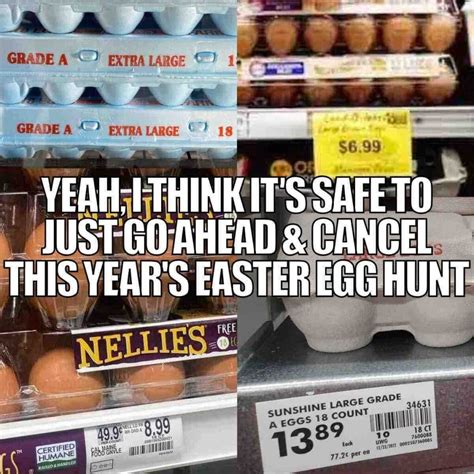 25 Funny Egg Memes About Egg Prices That Will Crack You UP!