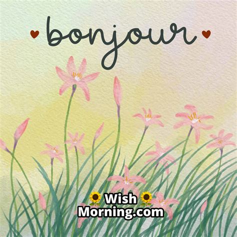 Good Morning French Images to Start Your Day with Joy - Wish Morning