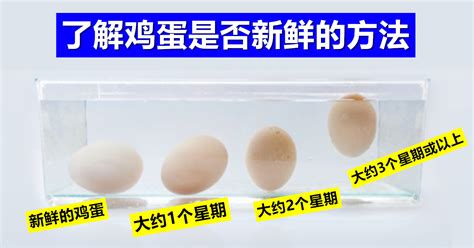 蛋鸡产蛋率上不去，高峰迟、高峰短、病后难以回升产蛋率咋办？__凤凰网