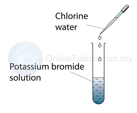 Between Chlorine And Potassium