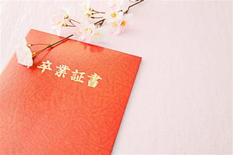 Image result for SQL Server Data Access Components