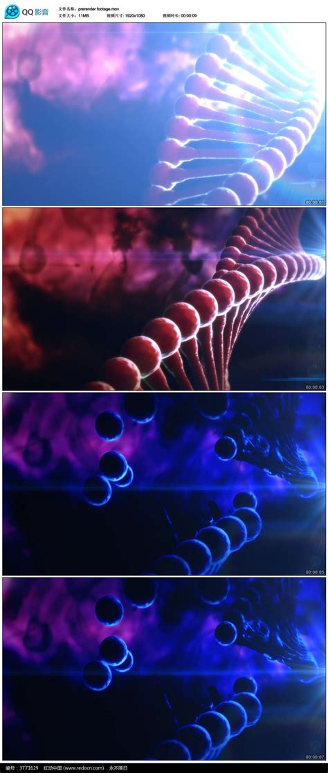 DNA分子结构科技视频素材_红动网
