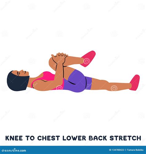 Knee To Chest Lower Back Stretch. Sport Exersice. Silhouettes of Woman ...