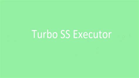 Image result for SS Executor Tutorial