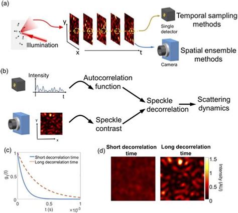 Image result for Diffusing Wave Spectroscopy