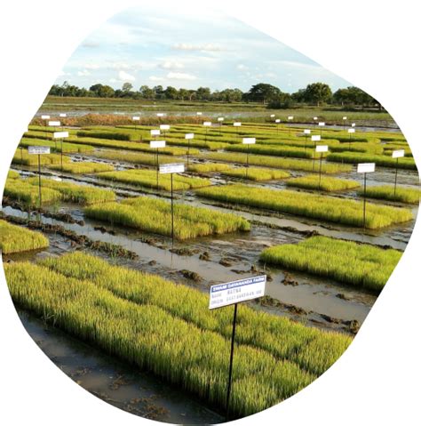 The movement – sotestore