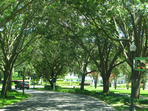 Women Talk About Life: Cypress Grove Park