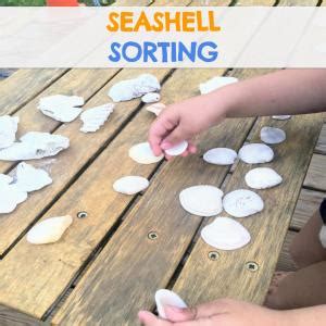 Seashell Sorting Activity 的图像结果