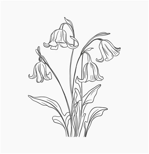 Простая иллюстрация рисунка очертания цветов синего колокольчика ...