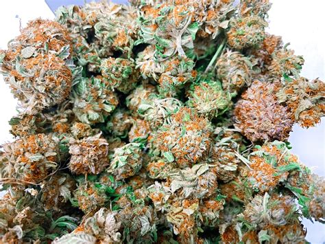 Can You Take Nyquil and Smoke Weed? A Comprehensive Guide to Safety and Interactions
