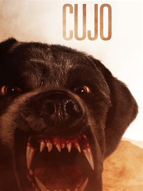 Cujo Dog Breed