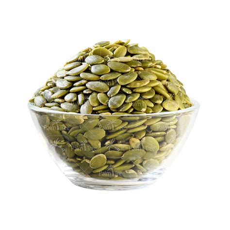 Pumpkin Seed – palmtreeshopping