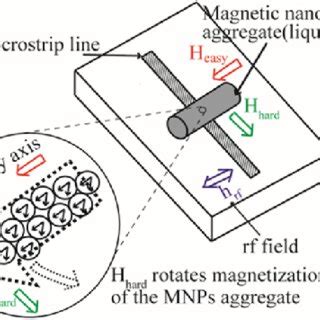 Image result for Experimental Method