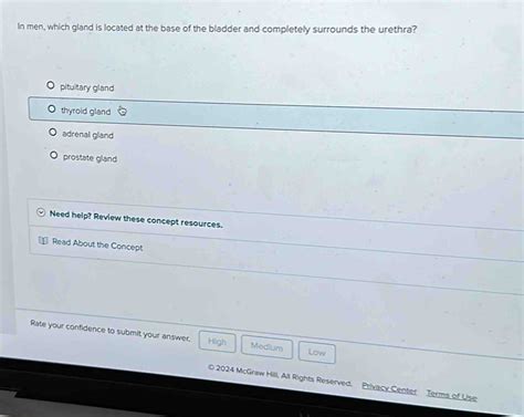 Solved: In men, which gland is located at the base of the bladder and ...