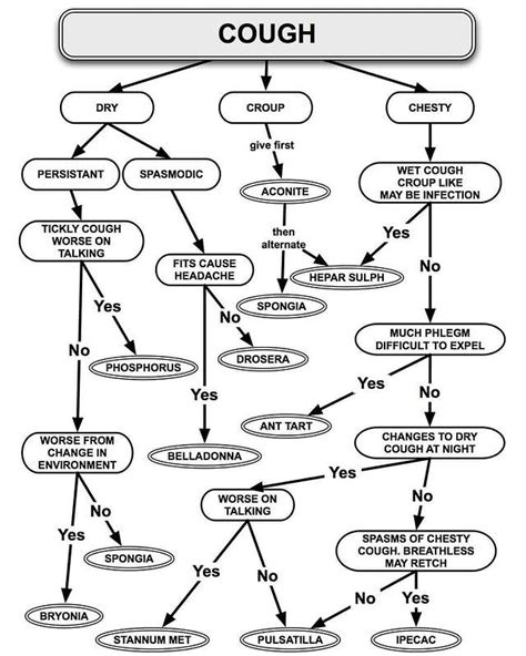 herbal medicine vs homeopathy