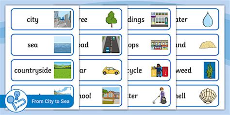 EYFS Science Vocabulary Cards: From City to Sea | Twinkl