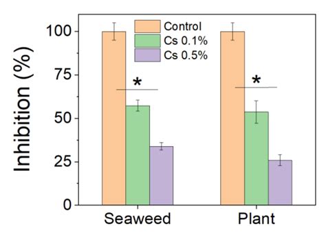 Comprehensive Enhancement of Mechanical, Water-Repellent and ...