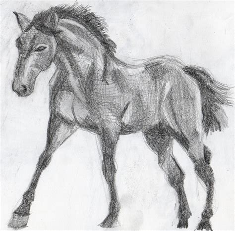 Britt's Graphics: Animal Drawing Practice: Horses