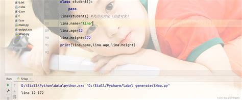Python Init Self 的图像结果