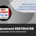 List of 13 Registered Companies in Manesar, India