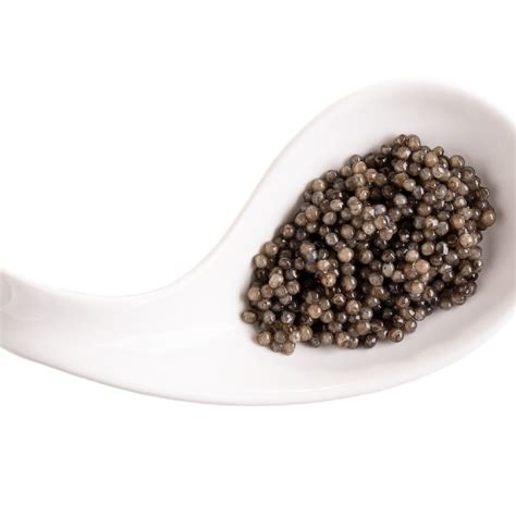 Ossetra Caviar Recipes for Vegetarians and Vegans | Easy Gourmet Dishes