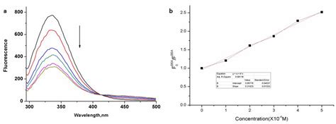 Zinc Phthalocyanine Labelled Polyethylene Glycol: Preparation ...