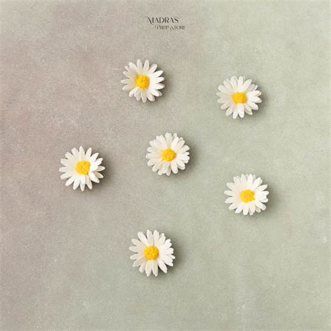 Daisy Flower Heads (Set Of 6) – Madras Prop Store