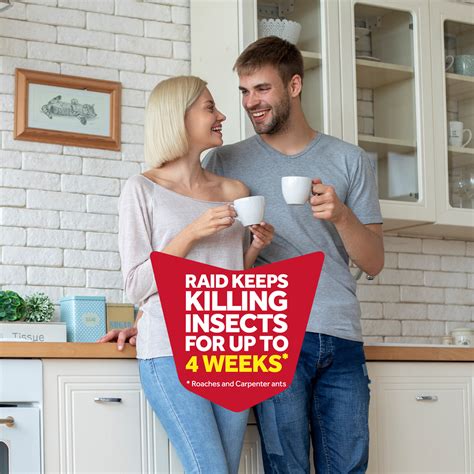 Raid Flying Insect Killer Bug Spray 7, Get Rid of Flies & Other Bugs ...