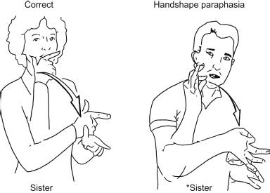 How To Sign Favorite Color In Asl : To do the sign for color hold your ...