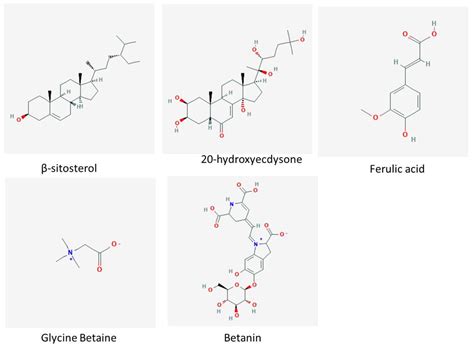 Botany, Nutritional Value, Phytochemical Composition and Biological ...