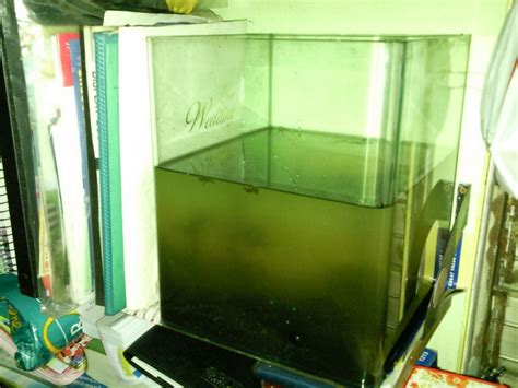 Tropical Fisher Man Fish Tanks And Aquarium CRS: Aquarium Home Multiple ...
