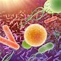 Image result for Superbugs